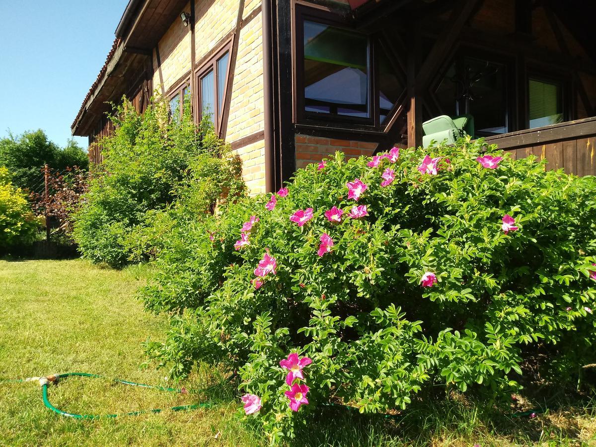 Natura Apartamenty Swaderki Dış mekan fotoğraf