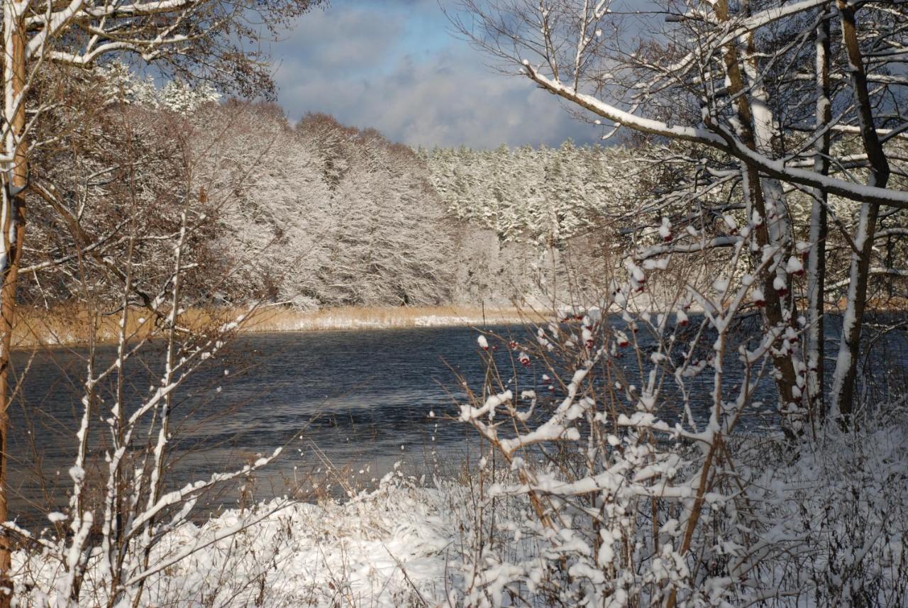 Natura Apartamenty Swaderki Dış mekan fotoğraf